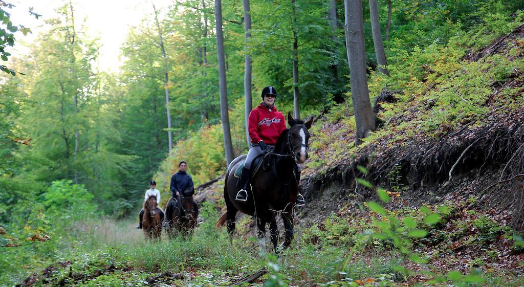 Gospodarstwo wiejskie Landgasthof Probstei Zella