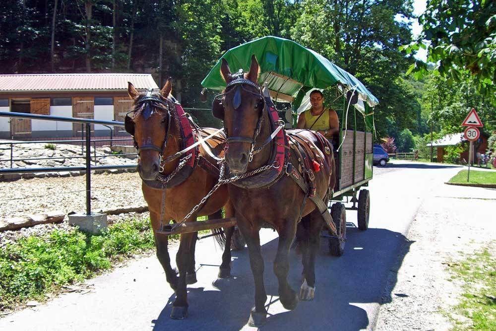 Landgasthof Probstei Zella